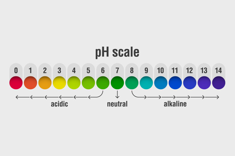 High pH and alkalinity in your hot tub